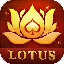 teen patti online apk download